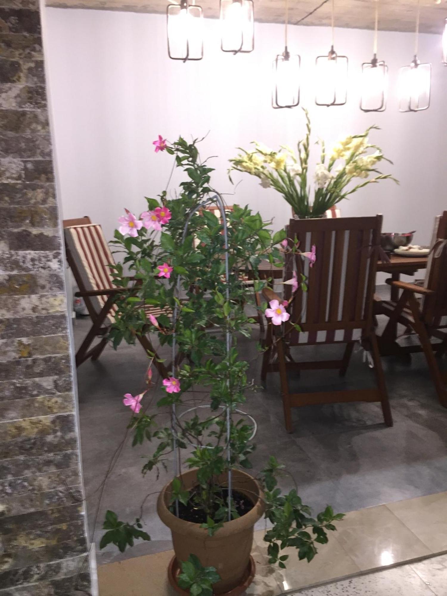 Guest House Smile Kobuleti Exterior foto