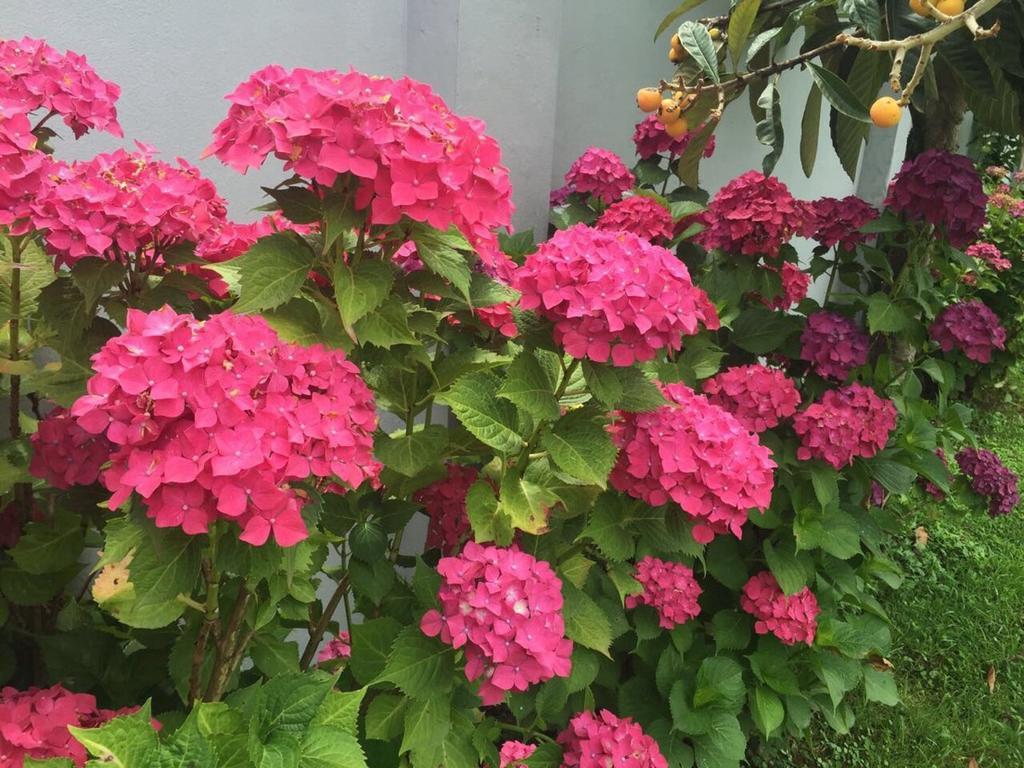 Guest House Smile Kobuleti Exterior foto